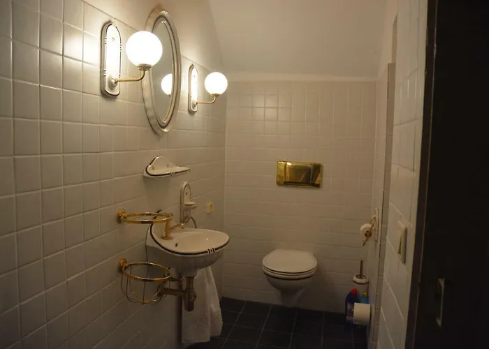 Gutshaus Wilhelmsruh * 莫内西